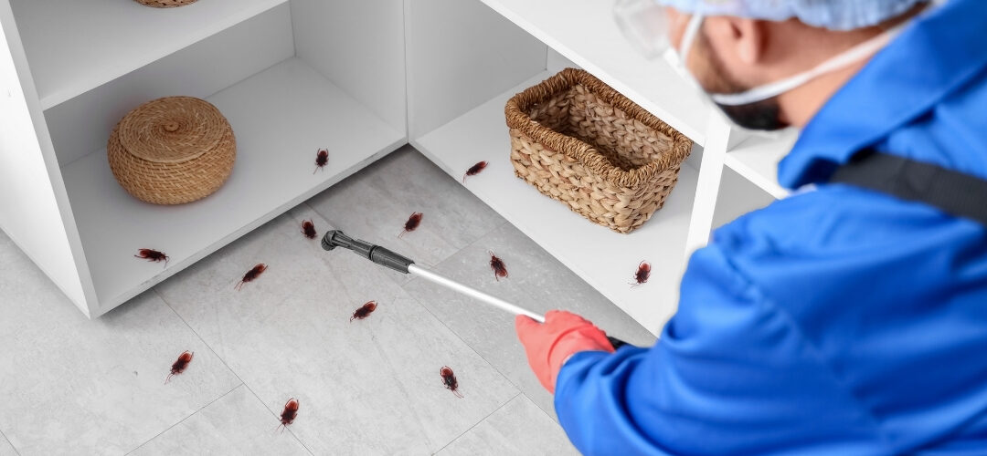 Why choose hvl pest service