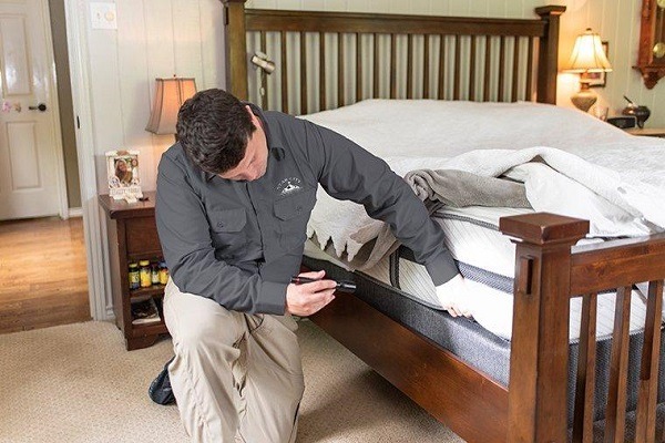 imgi_4_bed-bug-inspection
